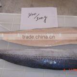 Frozen Spanish Mackerel