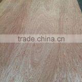 Commercial Plywood thumbnail-3