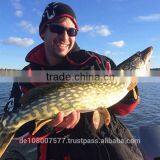 Best Quality Nylon Monofilament Fishing Lines 100% Made in Germany Bulk Spools 0.08-0.60mm MEGASTRONG-SOFT Light Grey thumbnail-5