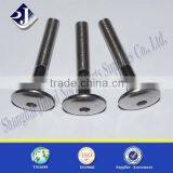 Socket Round Head T Bolt SS304