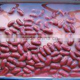 Red Kidney Beans thumbnail-3