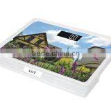 Electronic Weighing Scale thumbnail-6