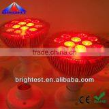 RGB PAR30 LED 12W E27 With Remote Controller