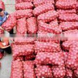 Onion Price thumbnail-1