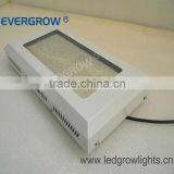 120W High Power Led for Growing Vegetables EG-112*1W-LG1-SXB