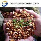 Pine Nut Sheller and Sorting Machine|Pine Nut Shelling Machine|Pine Nut Shell and Kernel Separating Machine thumbnail-6