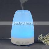 100 ml Portable Cool Mist Aroma Diffuser Electric Air Humidifier With Colorful Changing LED Lights