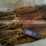 Dried Squid thumbnail-1