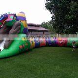 Giant Commercial Grade Inflatable Caterpillar Tunnel thumbnail-1