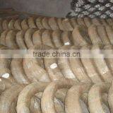 Galvanized Steel Screw Wire