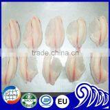Frozen Fish Frozen Tilapia Fillet Low Price thumbnail-2