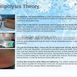 Body Contouring Cryo Cryolipolysis Cooling System Weight Fat Melting Loss Machine / Cryolipolysis Fat Reduction Machine thumbnail-5