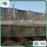 Cambodia Kosher Black Pepper for Importers 550gl 500gl thumbnail-5