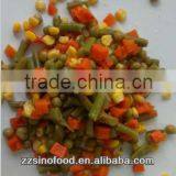 Mixed Vegetable Canned Food in Tins