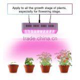 600w Double Chips LED Grow Light Full Specturm for Greenhouse and Indoor Plant Flowering Growing (5w Leds) thumbnail-2