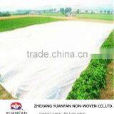 Non-woven Fabric thumbnail-6