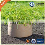 Wholesale Reusable Custom Plant Felt Grow Bag From China Factory thumbnail-3