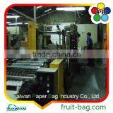 TPBI Fruit and Vegetables Packaging Materials Growing Paper Bag Protection Paper Bag thumbnail-5