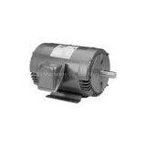 LINCOLN Single Phase TEFC Signature Resilient Base DP Series thumbnail-2