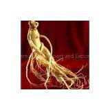 Sell Gineng Root Extract thumbnail-1