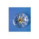 Acrylic Button