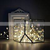 UK US AU Plug Powered Wholesale Item Fairy Light Flexible Led Mini Copper Wire String Lights, Led Christmas String Lights thumbnail-1