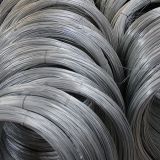 High Quality Factory Supply BWG21 Electro Galvanized Iron Wire