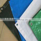 plastic woven hdpe tarpaulin,pe tarpaulin from China