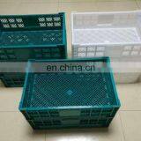 30 Holes Plastic Egg Tray for Packing and Transportation 30*30*5 cm Plastic Egg Tray thumbnail-4