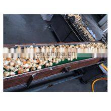 Hot Sale Frozen Scallop Meat Dried Scallop Meat thumbnail-2