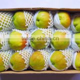 Factory direct sale high quality foam net for fruit packing