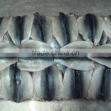 Pacific Mackerel Fillets
