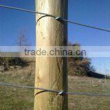 Ganado Cerca de Alambre Ovalada