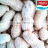 Raw Shelled Peanuts
