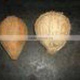 Matured Coconut For Sale From Kerala thumbnail-4