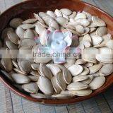 High Quality Wholesale Shine Skin Pumpkin Seeds thumbnail-2