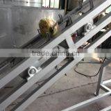 Automatic Industrial Young Coconut Half Cutting Machine and Water Collection Quality Choice thumbnail-2