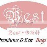 Shenzhen Best Leather Handbags Co., Ltd. company overview - view 2 thumbnail