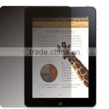 Privacy Screen Protector for Ipad2