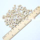 White Kidney Beans (Japanese Type) thumbnail-2