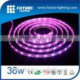 New 5M RGB 5050 SMD Waterproof IP65 LED Flexible Strip 150 LEDs