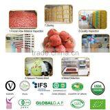 Freeze Dried Pitted Organic Whole Hawthorn Berry thumbnail-6