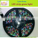 Made in China led hydroponic grow led strip 50m