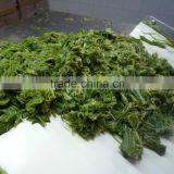 Frozen Wakame Stem Cut Salted thumbnail-4