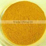 Organic Freeze Dried Goji Berry Powder From Wolfberry Origin thumbnail-3