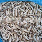 Good Quality Frozen IQF Shiitake Mushroom thumbnail-3