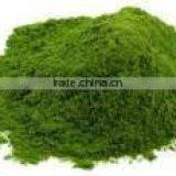 Natural Spinach Powder thumbnail-1