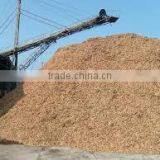 Acacia Woodchip/ 30- 45% of Moisture Woodchip for Burning thumbnail-2