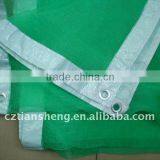 Scaffolding Net