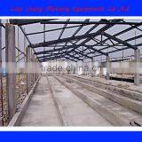 Egg Chicken House Design for Layers thumbnail-3